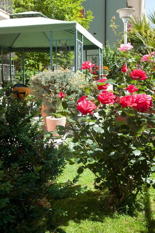 Hotel Corallo Albinia Zewnętrze zdjęcie